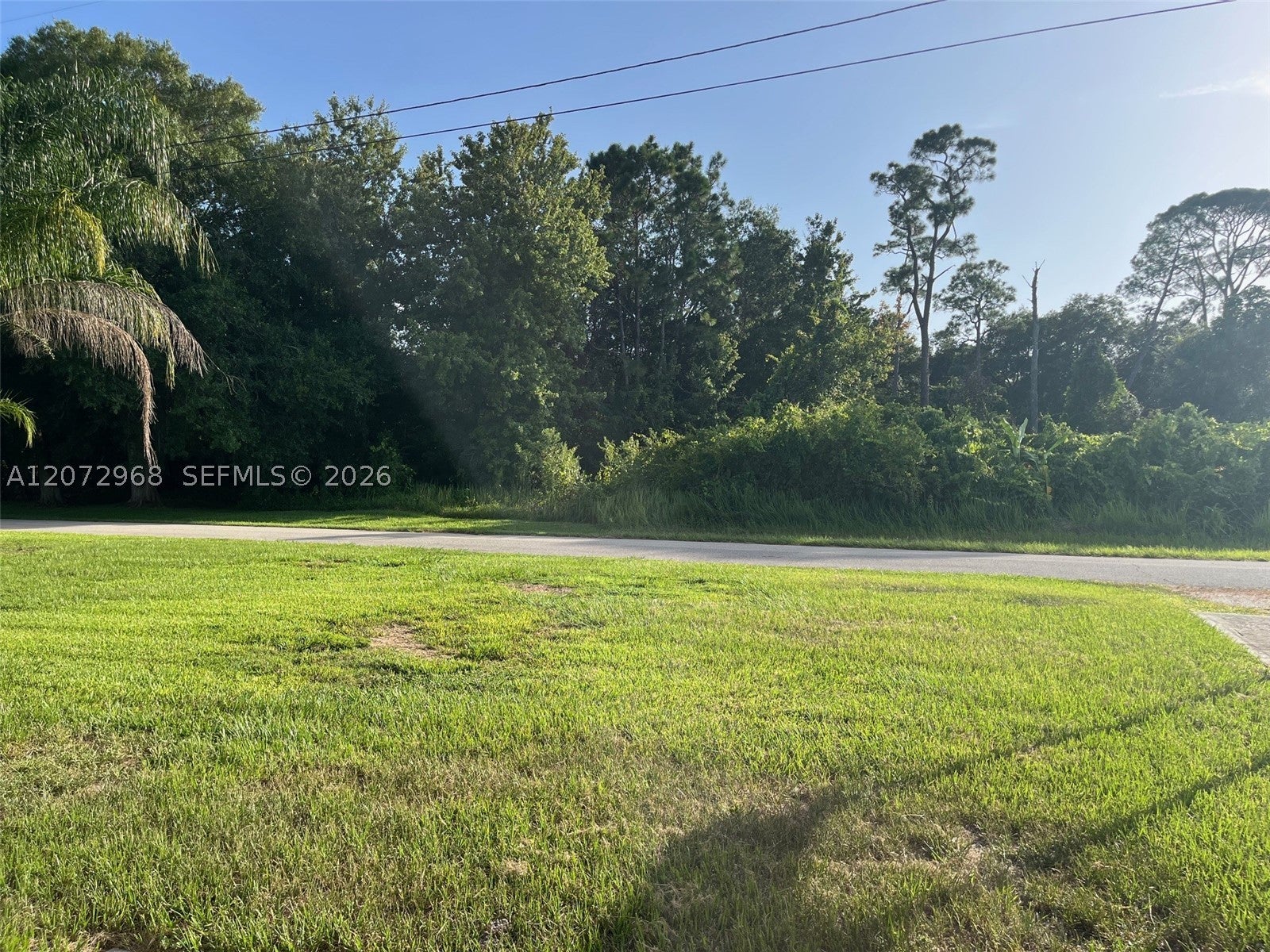 1052 Lake Carrie Dr, Lake Placid, FL 33852 photo