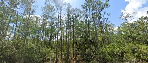  in Lehigh Acres FL 1903 Weller Ave.jpg