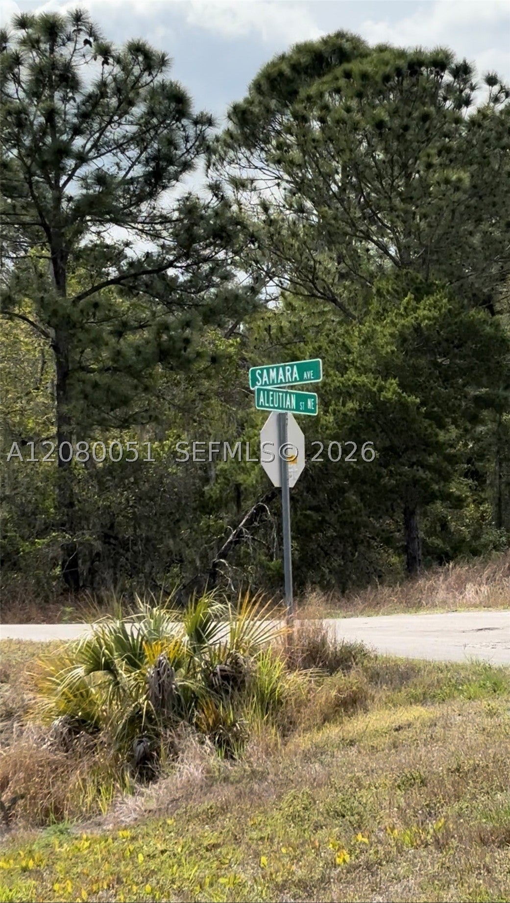 1215 Aleutian St, Lake Placid, FL 33852