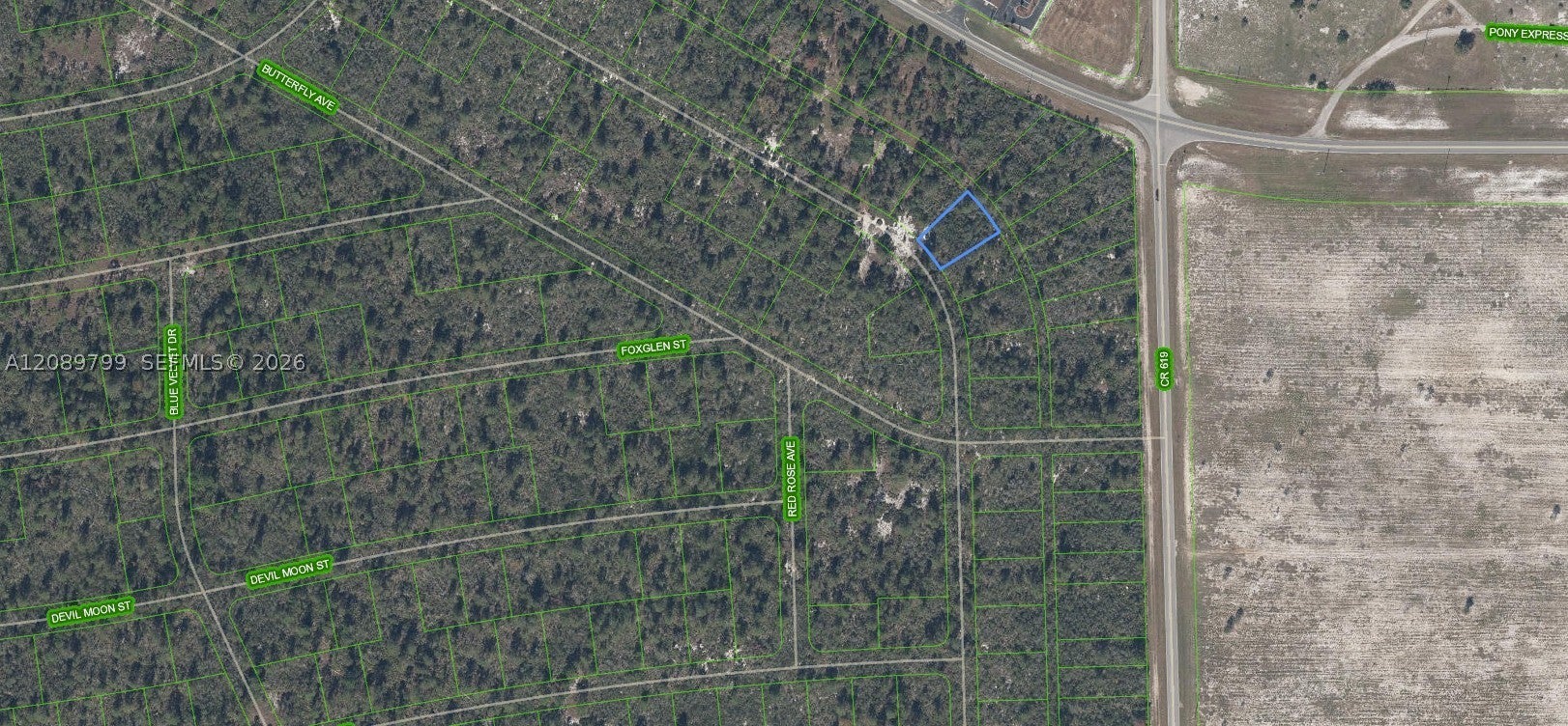 556 Ebbtide, Lake Placid, FL 33852