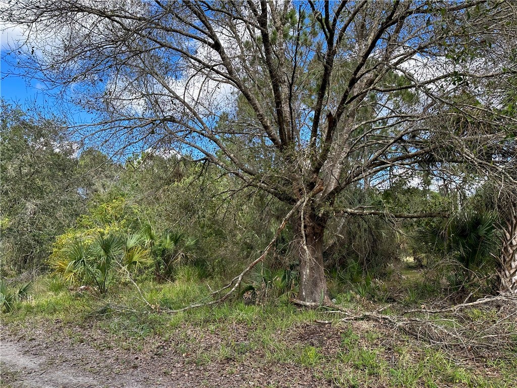 0 85 St, Fellsmere, FL 32948 photo