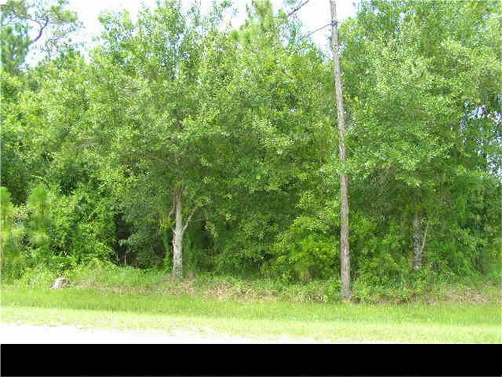 6 Cypress St, Fellsmere, FL 32948