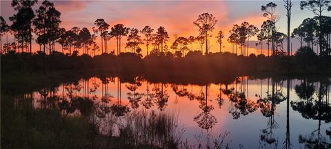  in Fellsmere FL 15355 93rd Street.jpg