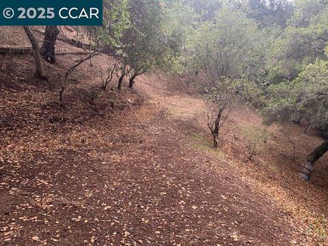 Unimproved Land in Oakland CA Mountain View Ave.jpg