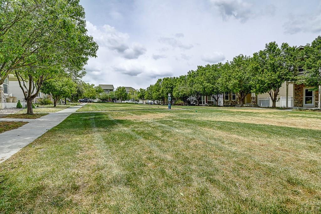 1763 Flintshire St, Colorado Springs, CO 80910 photo