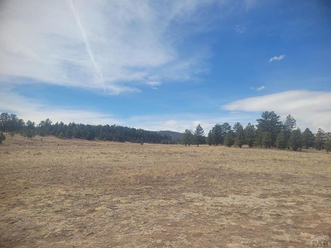  in Guffey CO 2450 Antelope Lane.jpg