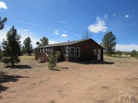 Single Family Residence in Guffey CO 251 View Lane.jpg