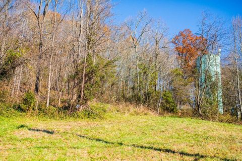 Unimproved Land in Shipman VA 0 James River Road.jpg