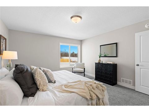 Single Family Residence in Cannon Falls MN 110 Maple St 21.jpg