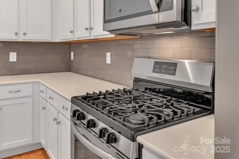 Single Family Residence in Fort Mill SC 530 Silers Bald Drive 9.jpg