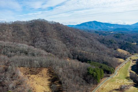  in Warrensville NC 61+ acres Glenn Miller Road.jpg