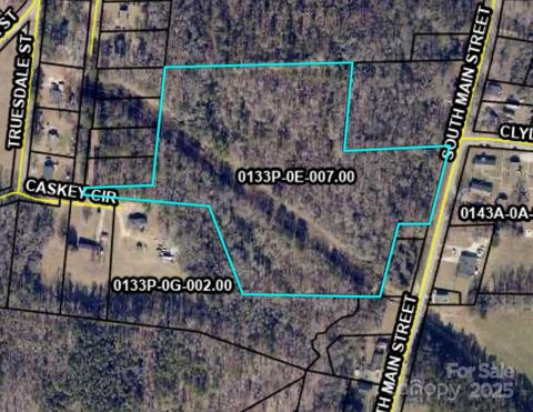  in Heath Springs SC TBD S Main Street.jpg