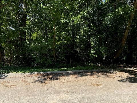 Unimproved Land in York SC .99 acres Hwy 321 ByPass.jpg