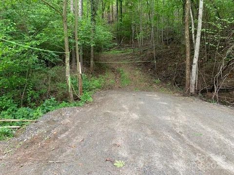 in Saluda NC 42.16 ACS GREEN RIVER COVE Road #42.162 AC..jpg