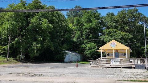 Unimproved Land in Great Falls SC 200 Dearborn Street.jpg