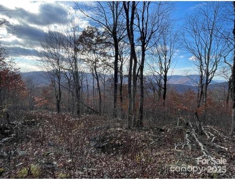 in West Jefferson NC LOT 16 Crown Point Road #16.jpg