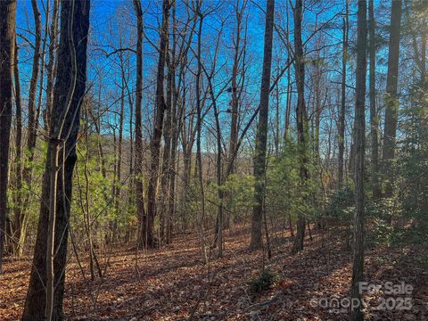  in Hendersonville NC 203 Bent Pine Trace #179.jpg