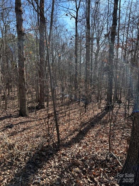  in Fort Mill SC 0000 Alfred Road.jpg