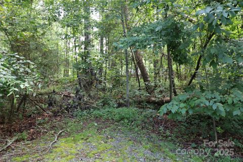  in Forest City NC 0 Shady Nook Circle.jpg
