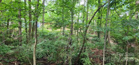  in Fort Mill SC 9064 Tulagi Court 17.jpg
