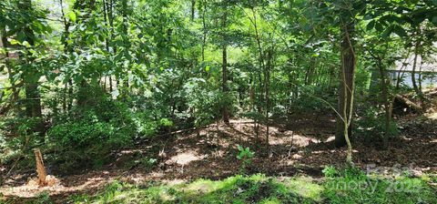  in Fort Mill SC 9064 Tulagi Court 14.jpg