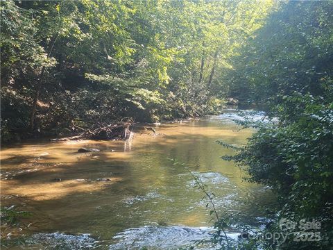  in Tryon NC Lot 5 Appaloosa Lane #5.jpg