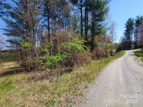  in West Jefferson NC Lot 25 Monticello Drive #25.jpg