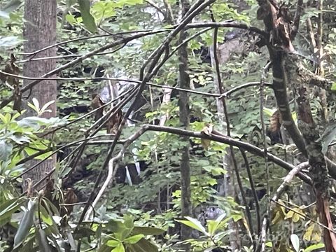  in Tuckasegee NC 2600 Canada Road.jpg