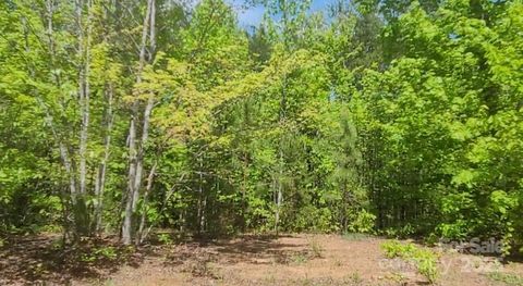  in Mill Spring NC 3601 Big Level Road.jpg