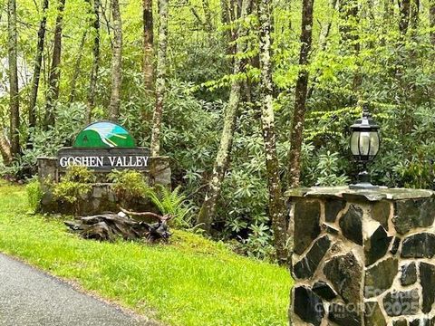  in Boone NC TBD Goshen Drive #19.jpg