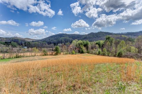  in Hendersonville NC 000 Union Hill Road.jpg
