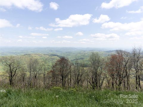  in Deep Gap NC 0000 Wildcat Road.jpg