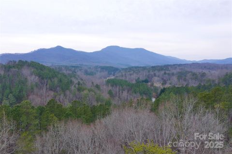  in Mill Spring NC 1140 Hwy 9 Highway.jpg