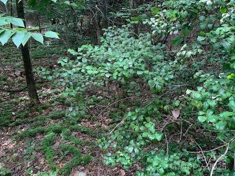  in Saluda NC 7.67 AC. HOLBERT COVE Road #7.67 AC..jpg