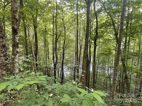  in Tuckasegee NC 200 Sweet Birch Lane.jpg