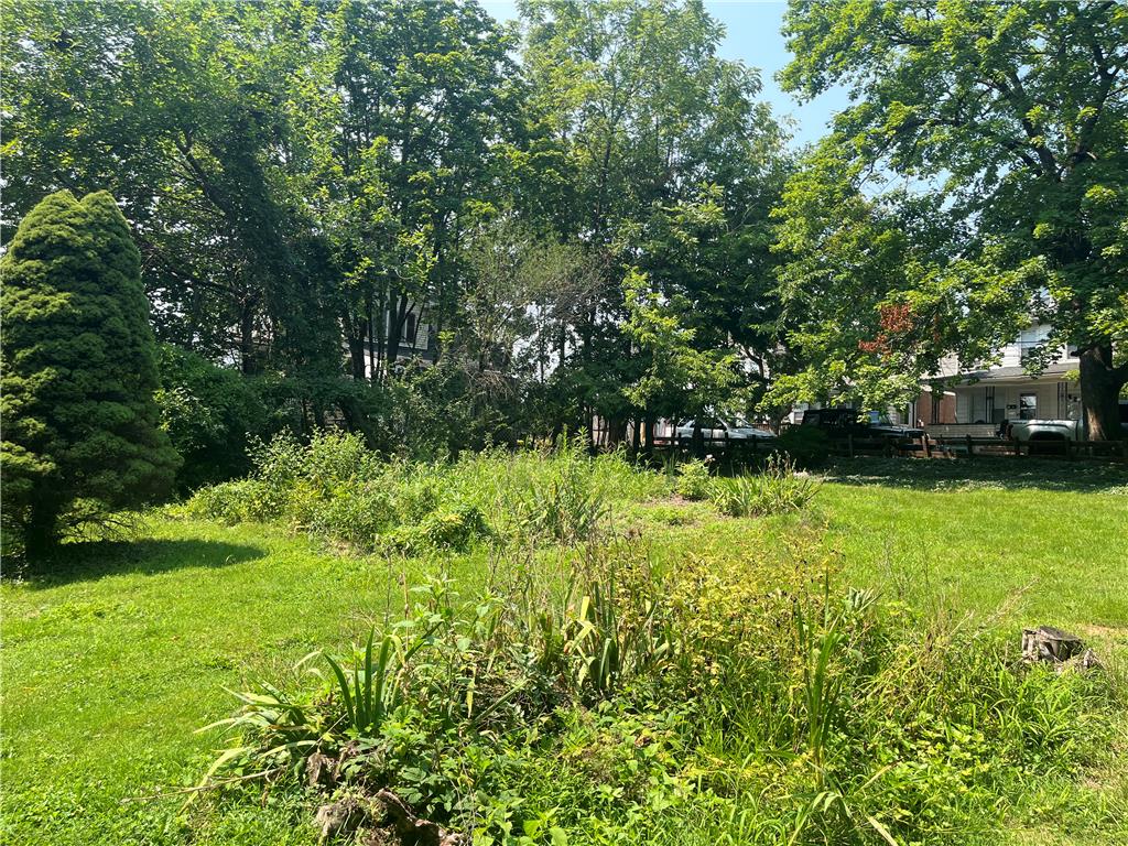 2300 Sycamore St, Wilson Borough, PA 18042 photo