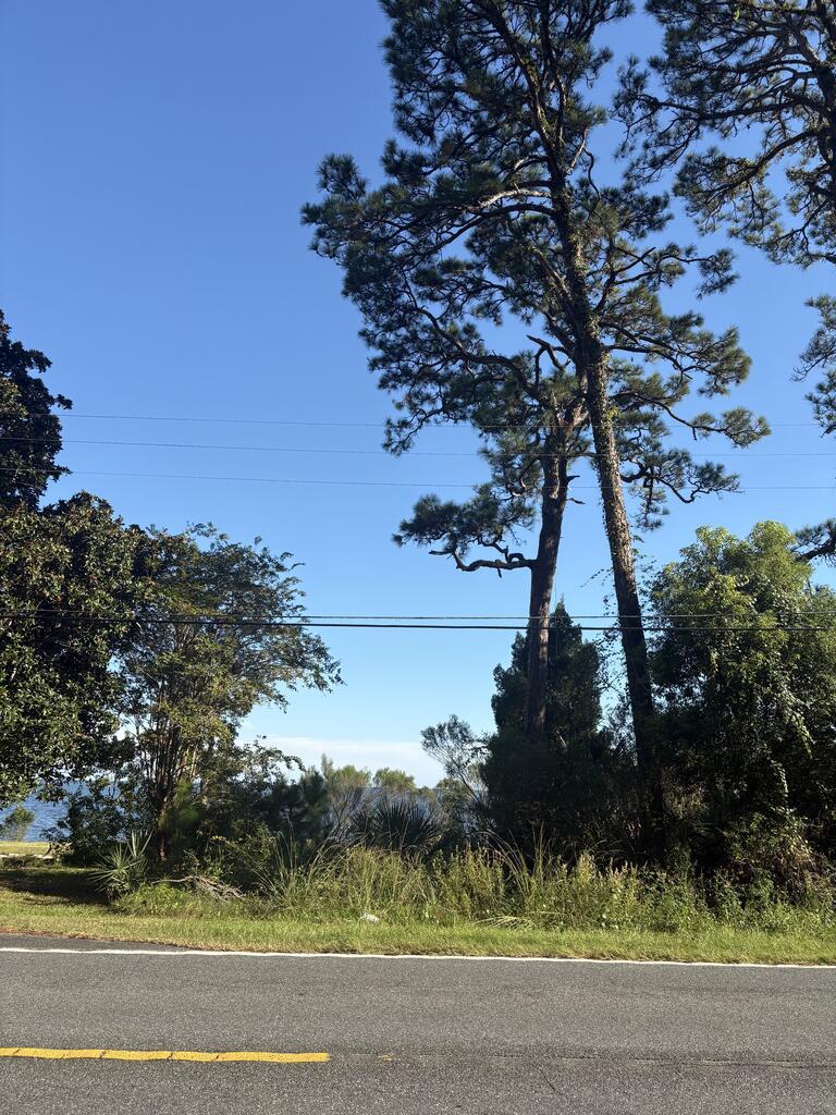 47 Highway 98 #LOT E 3, Lanark Village, FL 32322 photo