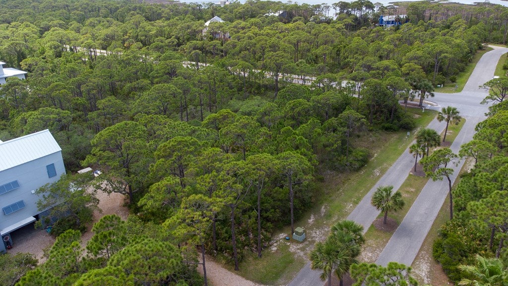 1752 Magnolia Rd, St. George Island, FL 32328 photo