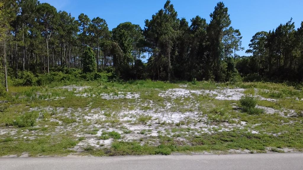 812 816 6 St, Carrabelle, FL 32322