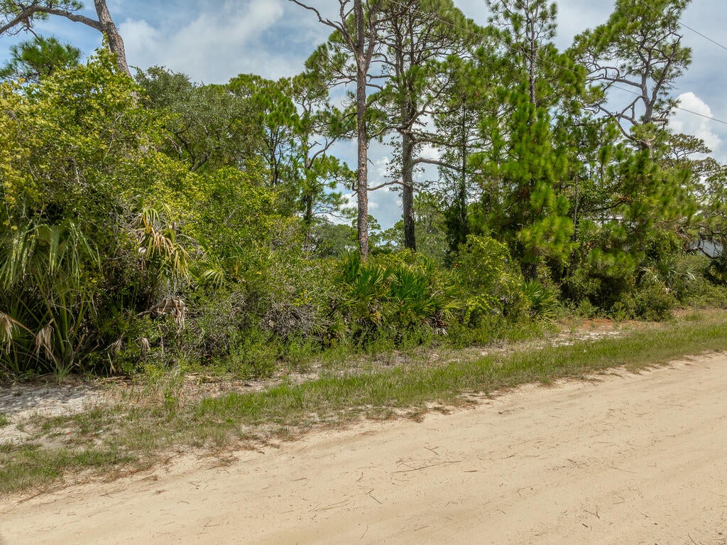 1019 Porter St, St. George Island, FL 32328 photo