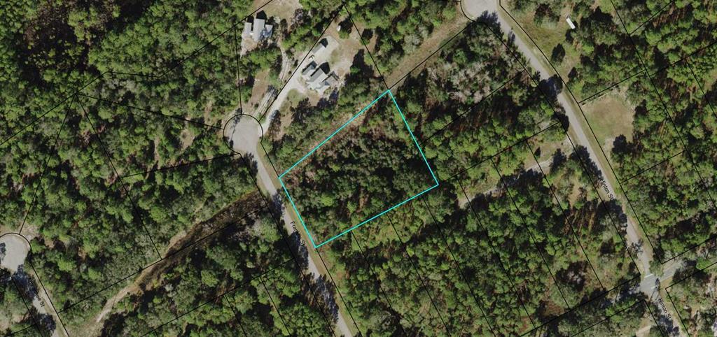 221 Franklin St, Lanark Village, FL 32323 photo