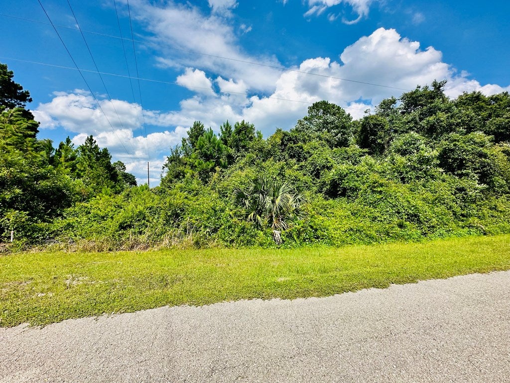 221 Franklin St, Lanark Village, FL 32323 photo