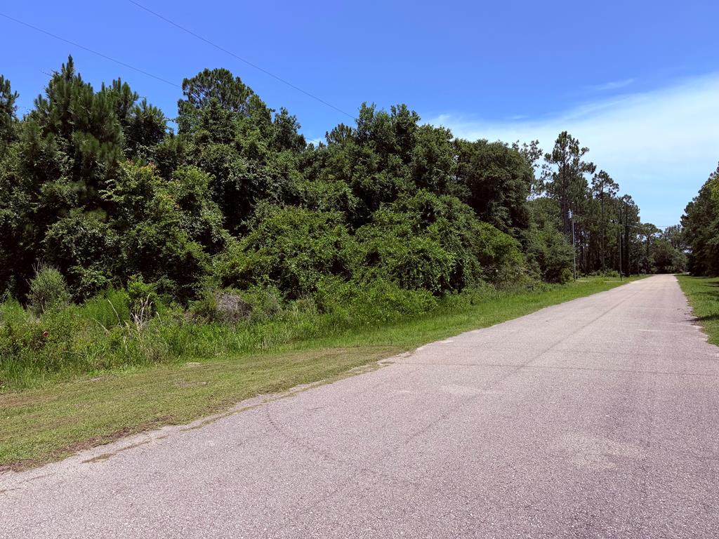 221 Franklin St, Lanark Village, FL 32323 photo