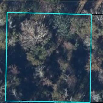 325 Riverside Cir, Wewahitchka, FL 32465