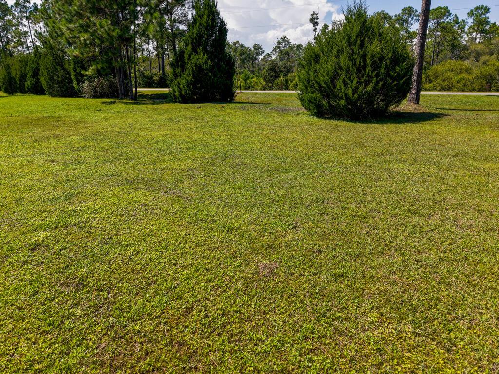 214 Frank Mckamey Way, Carrabelle, FL 32322 photo