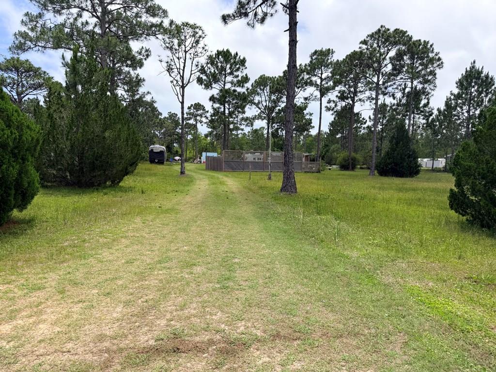 214 Frank Mckamey Way, Carrabelle, FL 32322 photo