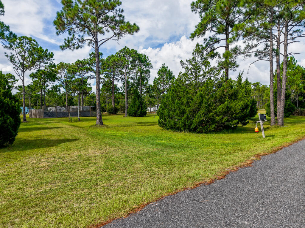 214 Frank Mckamey Way, Carrabelle, FL 32322 photo