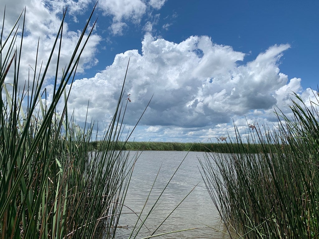 16 Chellsey St #LOT, Wewahitchka, FL 32465 photo