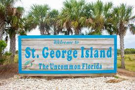 335 Bradford St, St. George Island, FL 32328 photo