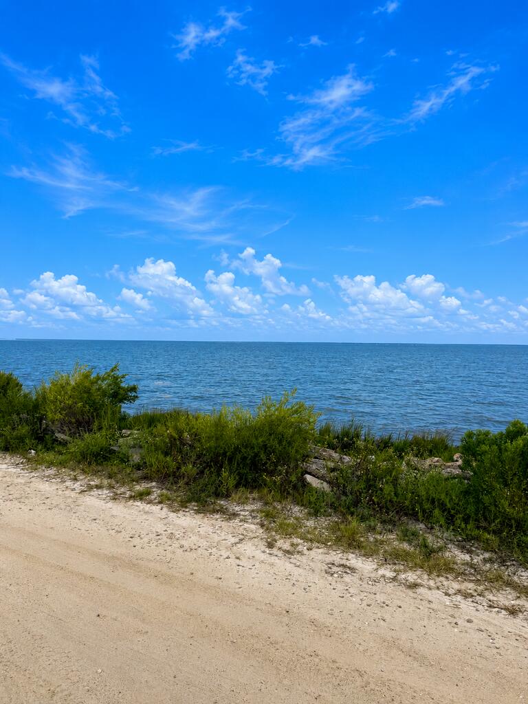 335 Bradford St, St. George Island, FL 32328 photo